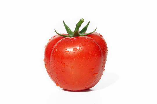 Dewy tomato with green tail on white background