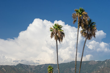 Fototapeta na wymiar Image looking north of cumulonumbus clouds formed above the San Gabriel Mountains in Southern California due to excessive heat.