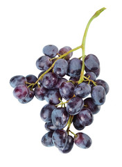 Fresh grapes isolated on white background. Bunch of grapes.