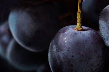 Ripe dark blue grape close up.