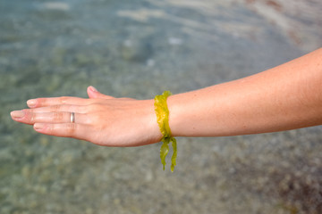 Algae bracelet on a female hand