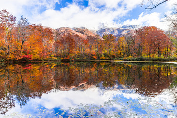 絵葉書みたいな素晴らしい景色を見に行こう！