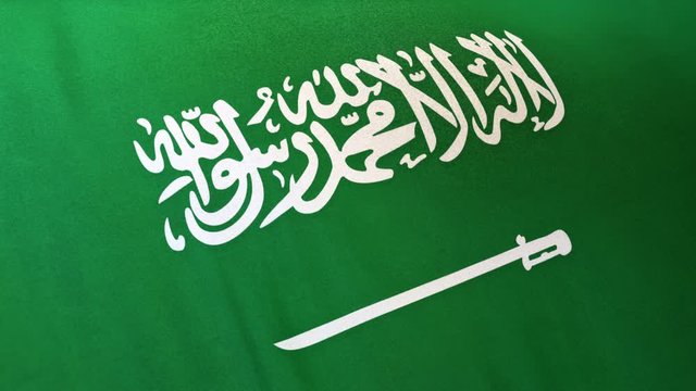 Saudi Arabia national flag seamlessly waving on realistic satin texture 29.97FPS