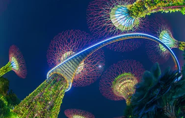 Rollo Supertree Grove. Garden by the bay or outdoor artificial trees in Marina Bay area in urban city of Singapore Downtown at night. Landscape background © tampatra