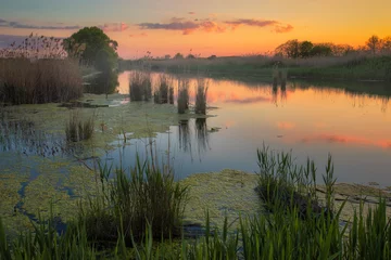 Sonnenuntergang am Fluss © axills