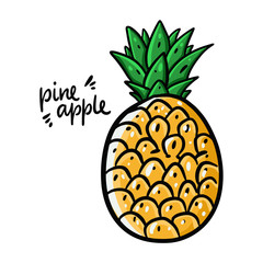 Pineapple hand drawn vector illustration and lettering. Isolated on white background