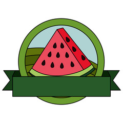 fresh watermelon fruit with ribbon stamp