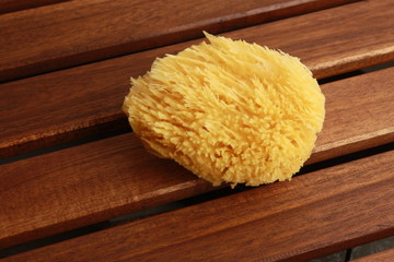 natural sponge for baby bath, yellow