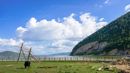 farm in the countryside