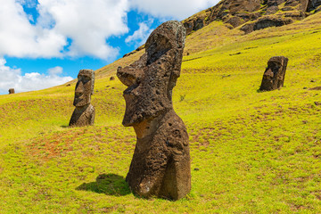The majestic Moai statues of Rano Raraku quarry that never made it to their ritual platform or Ahu on Rapa Nui island (Easter Island) in the Pacific Ocean, Chile.