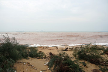 Heavy windy storm by monsoon with the red color sea water beach