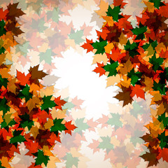 Autumn background of maple leaves. Colofrul image, vector illustration eps 10