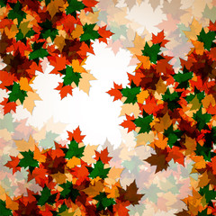Fototapeta premium Autumn background of maple leaves. Colofrul image, vector illustration eps 10