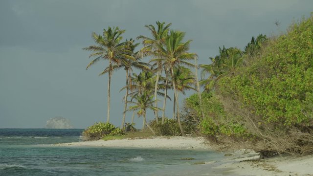 Scenic view of bird flying from beach over ocean / Petit Tabac, Tobago Cays, St. Vincent and the Grenadines