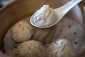 Famous chinese dim sum Xiaolongbao, Taipei