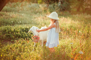 Ukrainian girl on a farm feeds a goat. Cute little girl with long blonde hair at sunny sunset spends time with a pet. Cute baby 6 years old caring for an domestic animal.