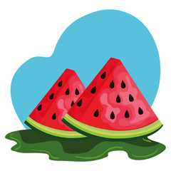 fresh watermelon fruit nature icon