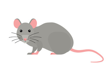 cute cartoon rat flat illustration