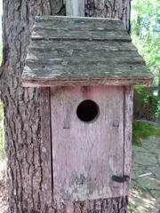birdhouse