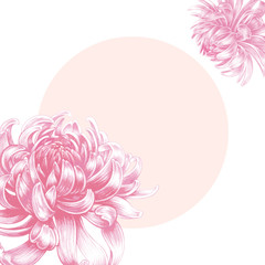 Vektornahtloses Blumenmuster mit Chrysanthemenblumen. © marinavorona