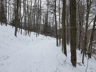 Winteridylle im Sauerland