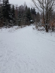 Winteridylle im Sauerland
