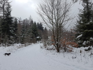 Winteridylle im Sauerland