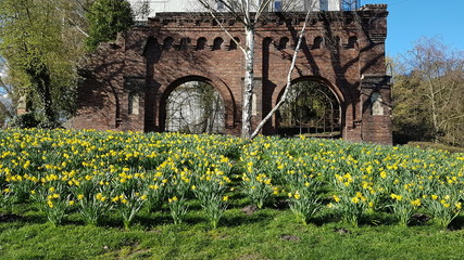 Fototapete bei efototapeten.de bestellen   