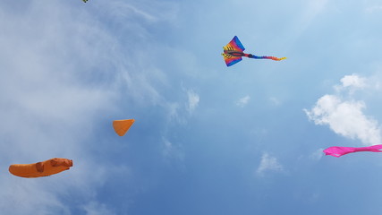 Drachen im Herbstwind