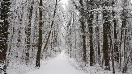 Winteridylle in Westfalen