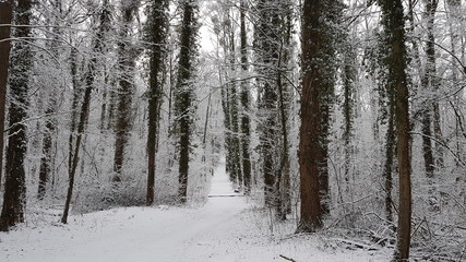 Winteridylle in Westfalen