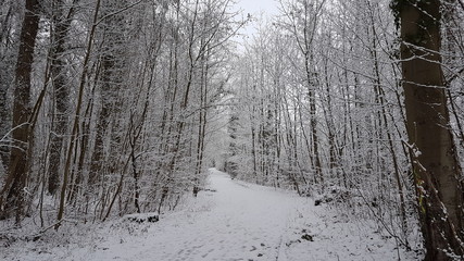 Winteridylle in Westfalen