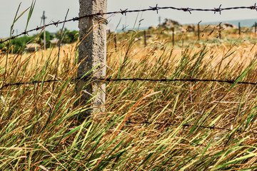 Rural fence of barbed wire on a hot summers day