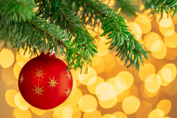 Red christmas ball hanging on fir tree branch over golden bokeh lights background