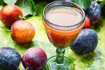 Romanian national plum liquor