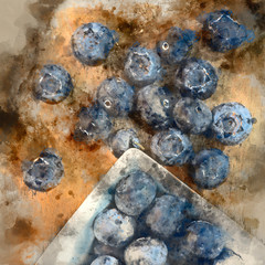 Digital watercolor painting of fresh Summer blueberries