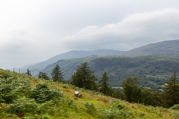 Lake District mountain scenery