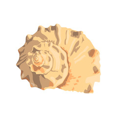 Sea shell beach tropical underwater. vector illustration. isolated on white background.