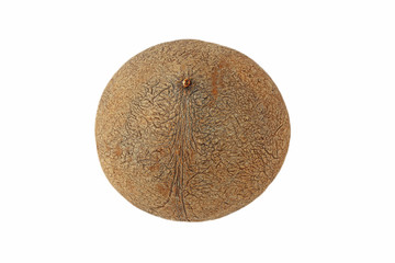 Single of mature coconut for oil preparing and coconut milk isolated on white background