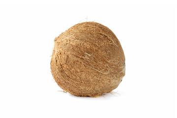 Single of  mature coconut for oil preparing and coconut milk isolated on white background