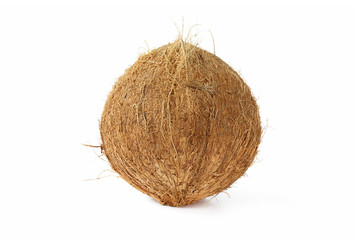 Single of  mature coconut for oil preparing and coconut milk isolated on white background
