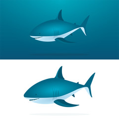 Shark. Sharks vector illustrations set. Cartoon style sharks drawing. Part of set.