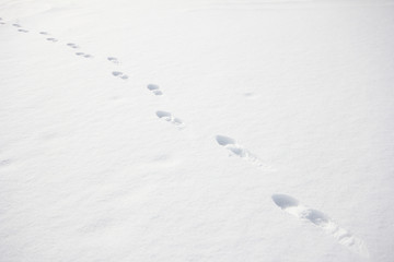Foot steps on snow ground.