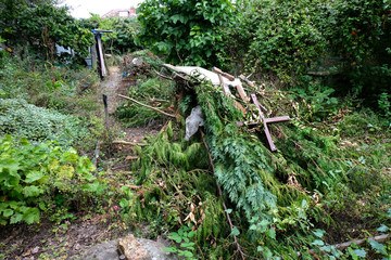 Garden waste piled up ready to burn
