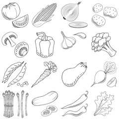 Vegetables (set) - black and white illustration/ drawing
