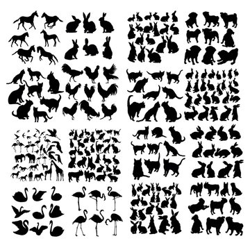 300 vector silhouettes of animals (mammals, birds, fish, insects)