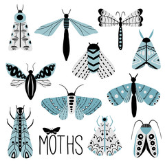 Hand drawn doodle moth vector set