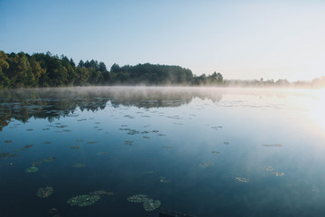 fog over river in early summer morning