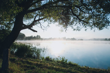 fog over river in early summer morning