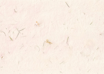 korean traditional paper mixed with dried petals and leaves